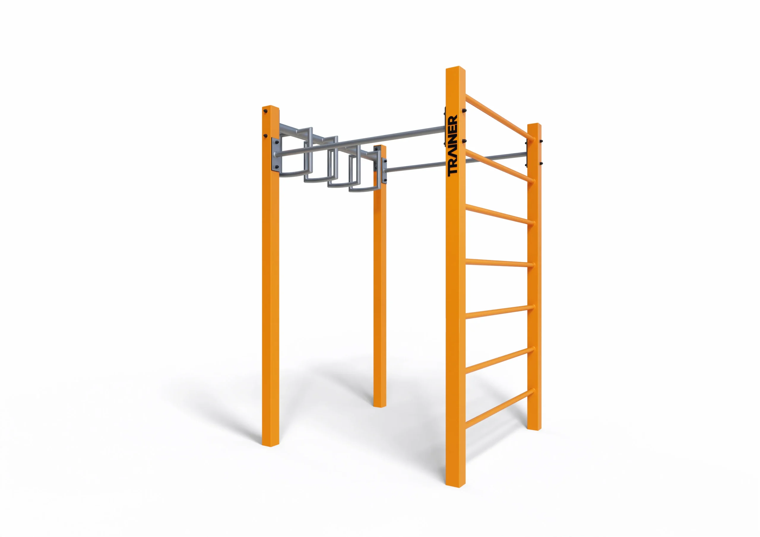 Street Workout cost